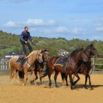 Spectacle fête du cheval 2023, voltigeur avec chevaux.